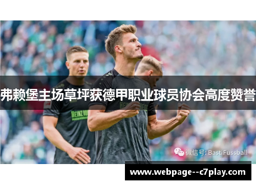 弗赖堡主场草坪获德甲职业球员协会高度赞誉